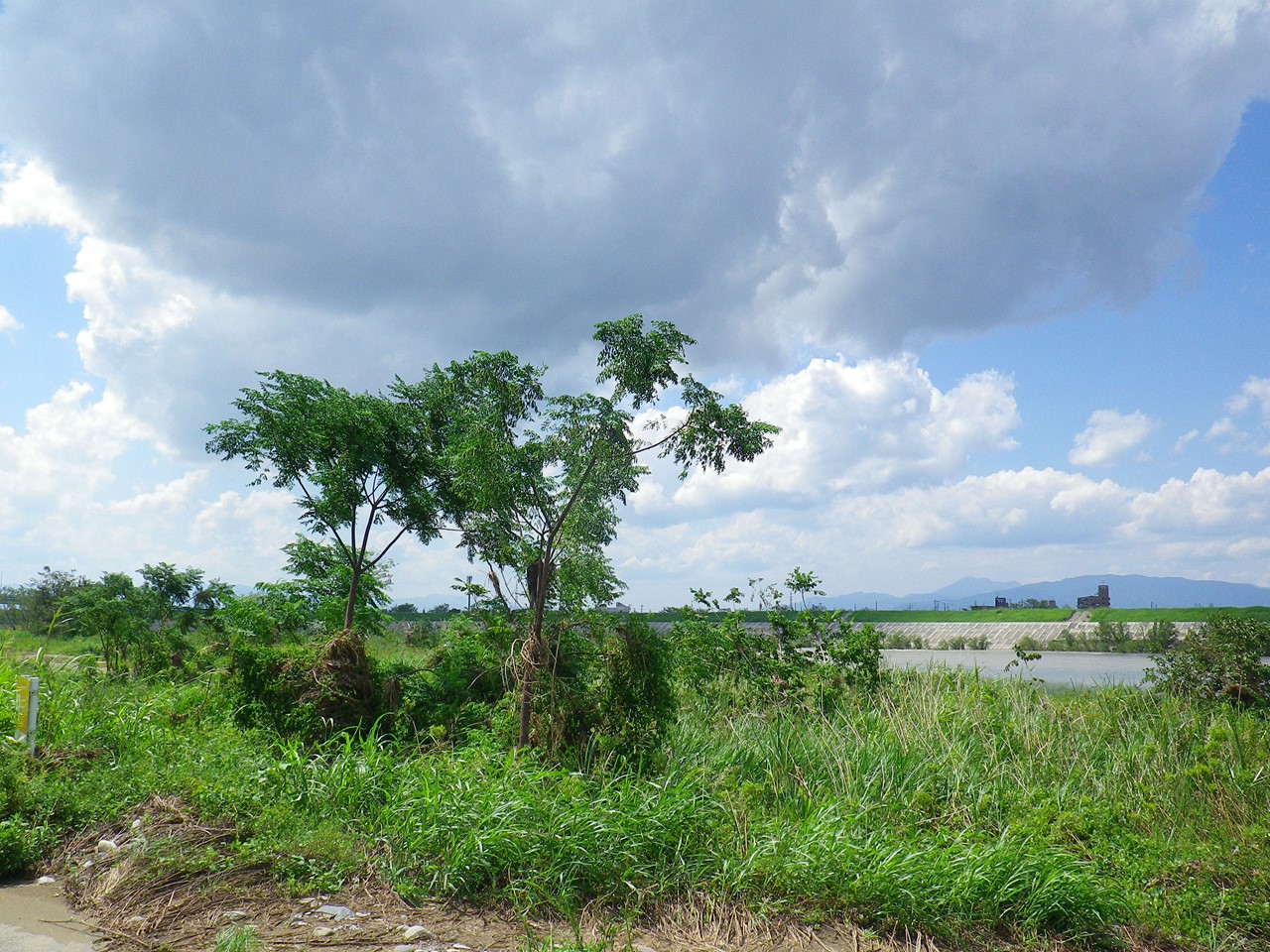 d0054276_20285894.jpg