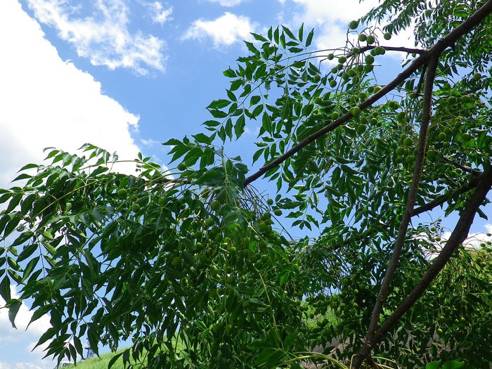 d0054276_20291099.jpg