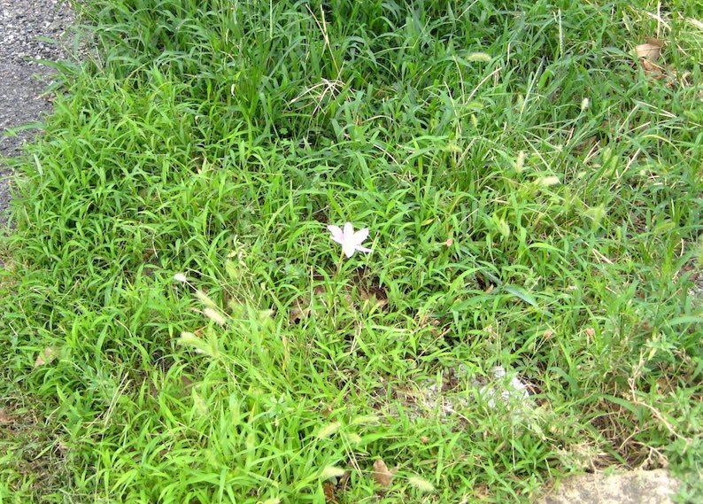 b0057679_07585289.jpg
