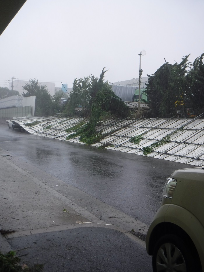 ◆大型台風21号大阪来襲　　～恐怖の爪痕～_f0238779_16264092.jpg