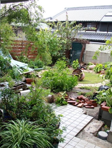当たり前のこと 台風の被害がすごい Soleilの庭あそび 布あそび