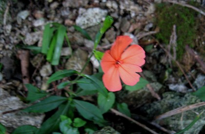 c0229483_127562.jpg