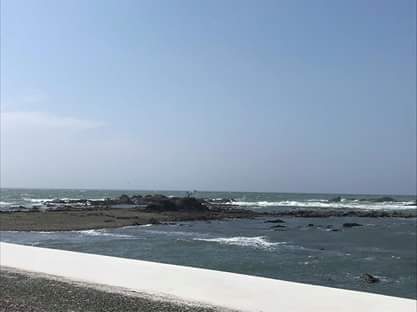 f0151886_11460920.jpg