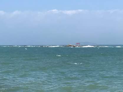 f0151886_11460973.jpg