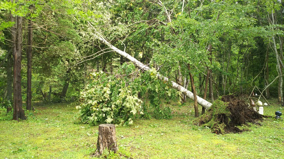 台風一過_b0343293_21441352.jpg