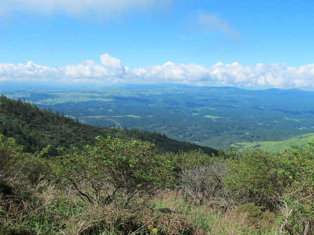 a0166196_12372234.jpg