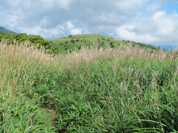 a0166196_12394686.jpg