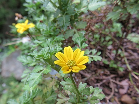 d0046702_04160624.jpg