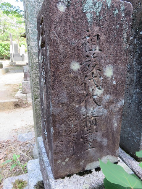c0187004_18365827.jpg