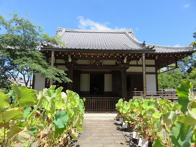c0187004_18372600.jpg