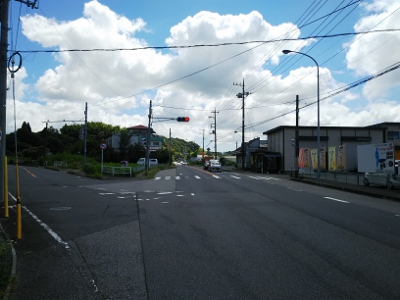 天丼食って１３０ｋｍ走りませんか。②_b0040606_21331091.jpg