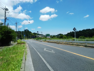 天丼食って１３０ｋｍ走りませんか。②_b0040606_21381052.jpg