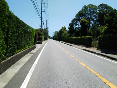 天丼食って１３０ｋｍ走りませんか。②_b0040606_21424255.jpg