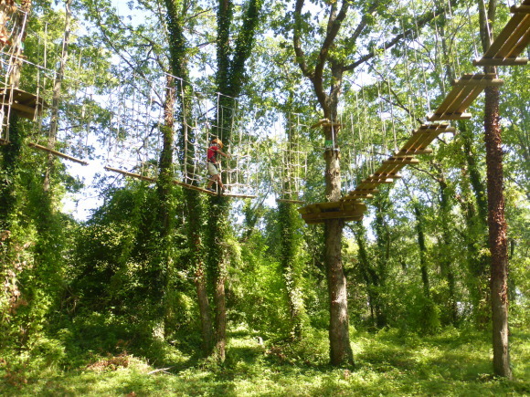e0110807_17423059.jpg