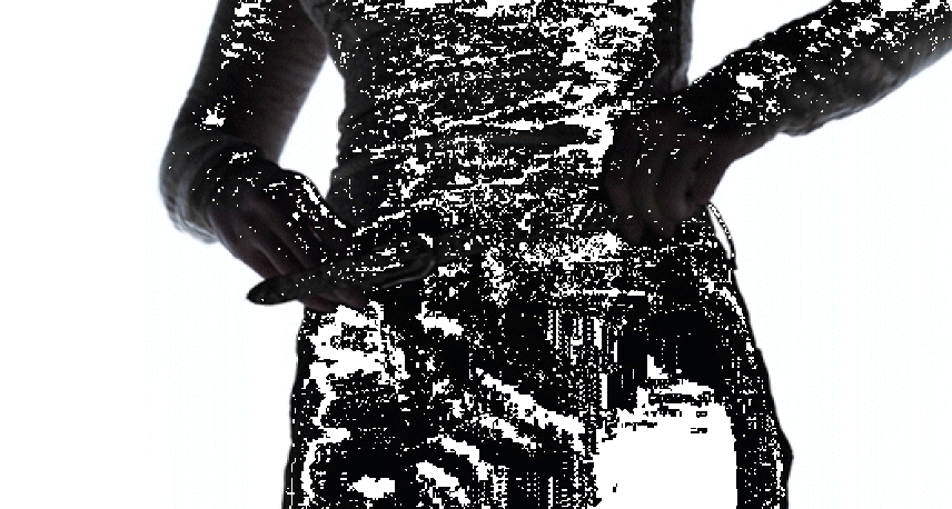 d0041508_04260426.gif