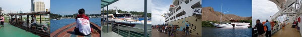 d0360509_1716424.jpg