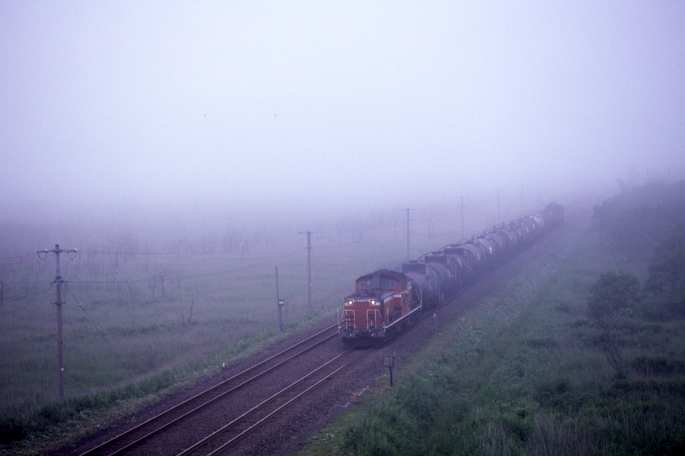 b0190710_23265079.jpg