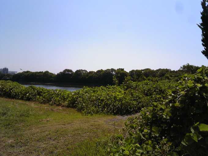 f0376214_14054647.jpg