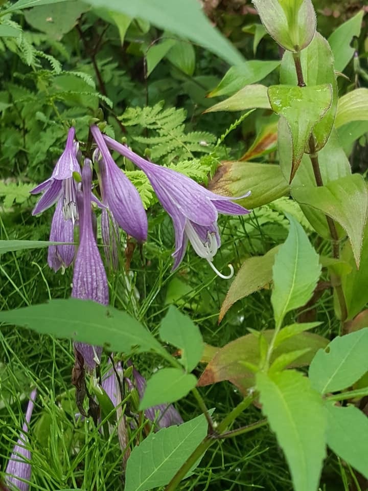 d0269832_08175291.jpeg