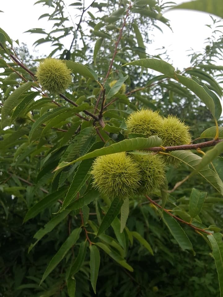 d0269832_08182666.jpeg