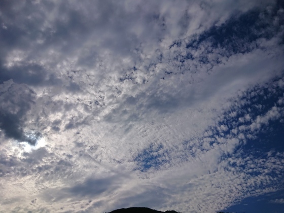 f0118332_19444558.jpg