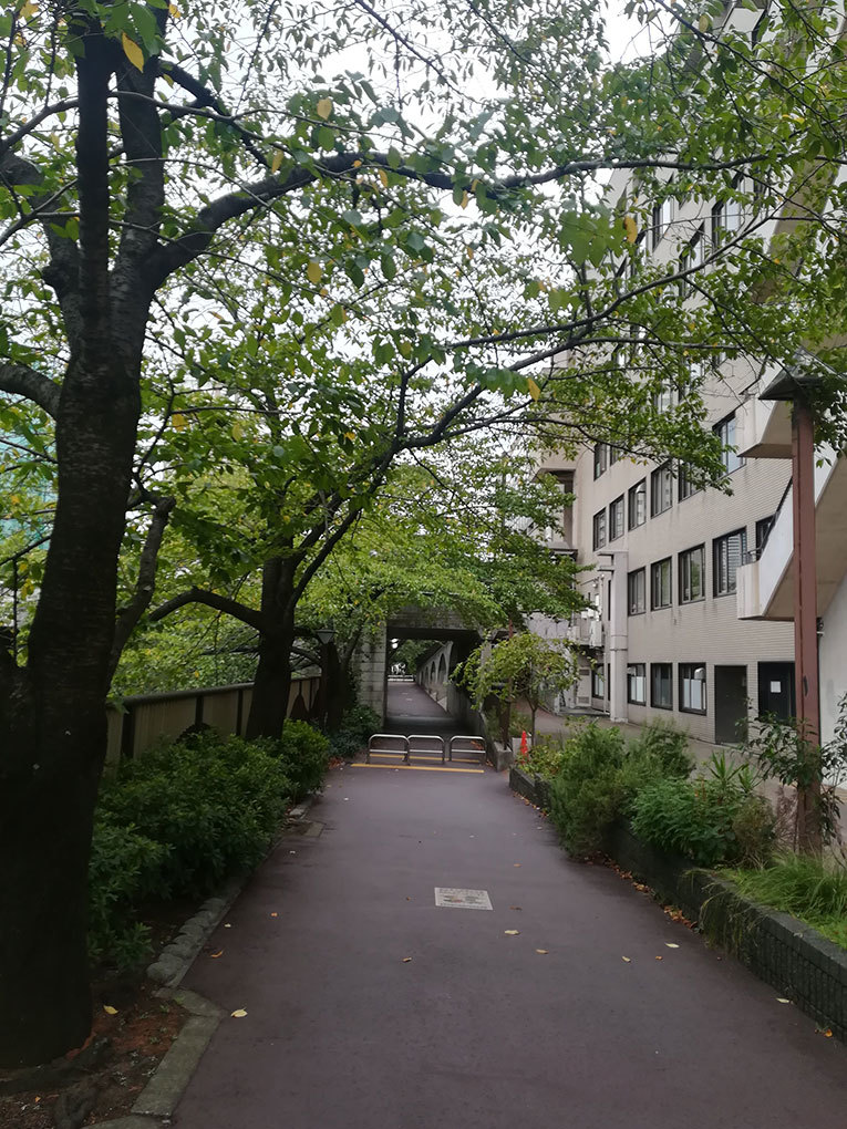 b0036733_15440108.jpg