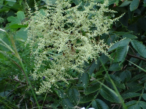 d0037233_15035594.jpg