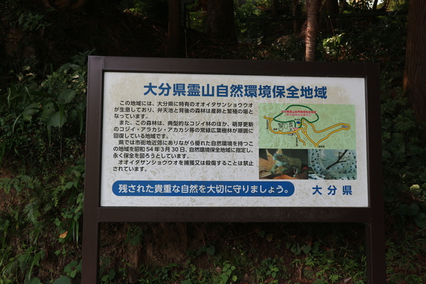 e0272335_17173915.jpg