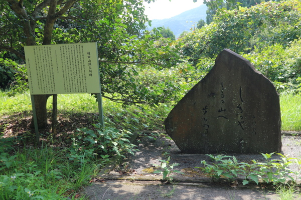 霊山山麓にスズムシバナの群生！_e0272335_17214424.jpg