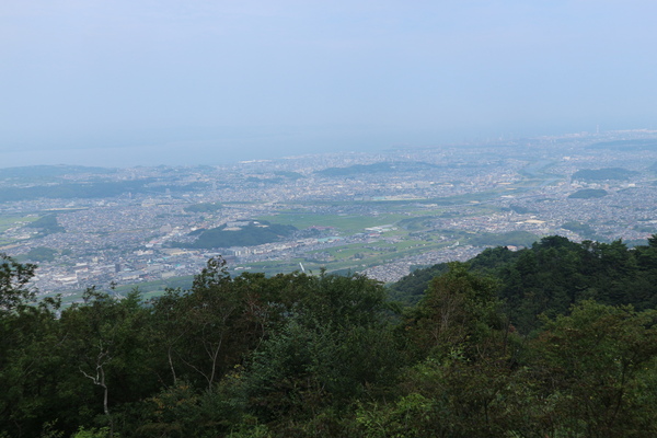 霊山山麓にスズムシバナの群生！_e0272335_18302171.jpg