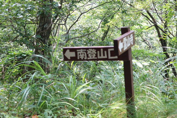 霊山山麓にスズムシバナの群生！_e0272335_18401236.jpg