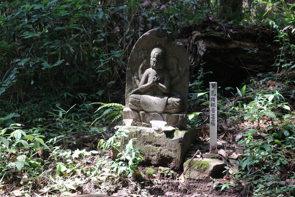 霊山山麓にスズムシバナの群生！_e0272335_18411931.jpg