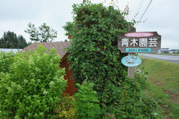 a0287336_21321854.jpg