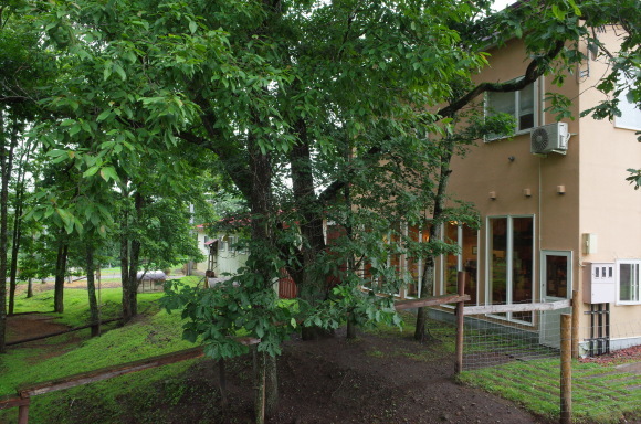 a0287336_21540424.jpg