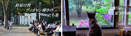 d0164636_06165577.gif