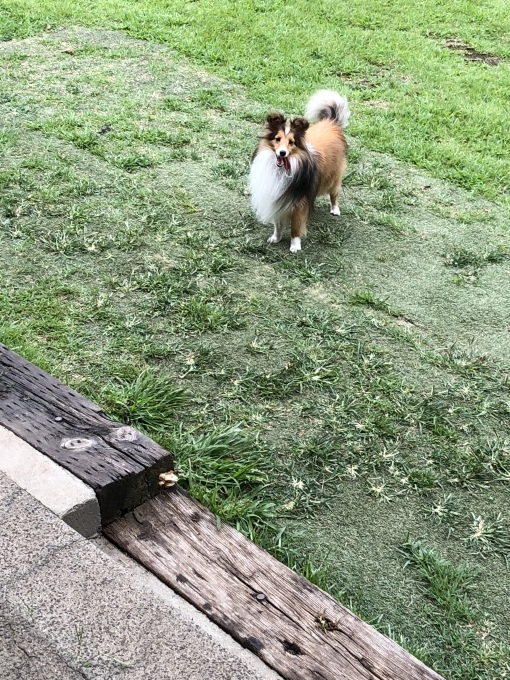 b0369239_16012150.jpeg