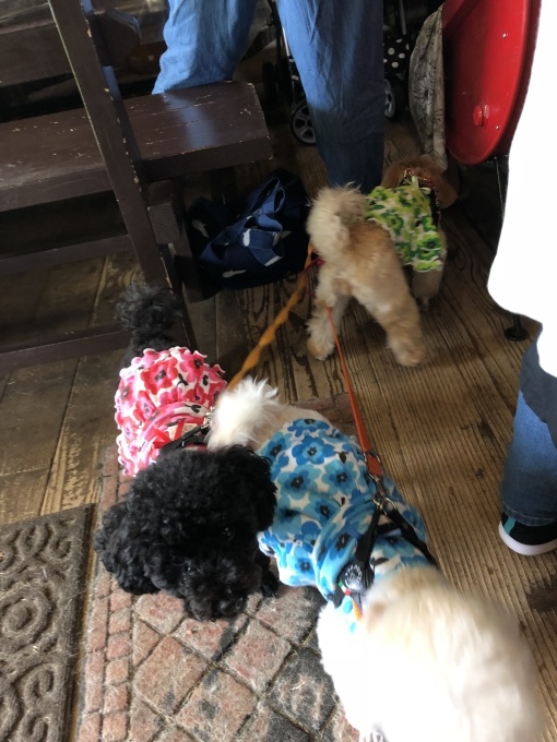 b0369239_16014560.jpeg