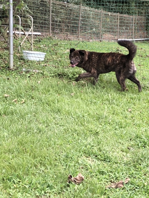 b0369239_16024725.jpeg