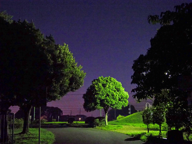 d0290240_09402926.gif
