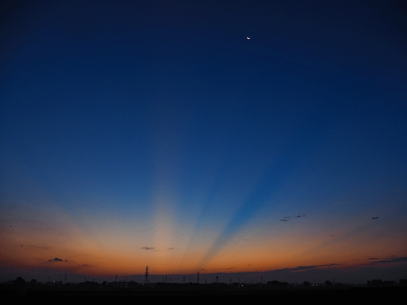 d0290240_09404533.gif