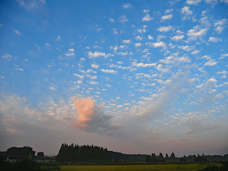 d0290240_09413277.gif