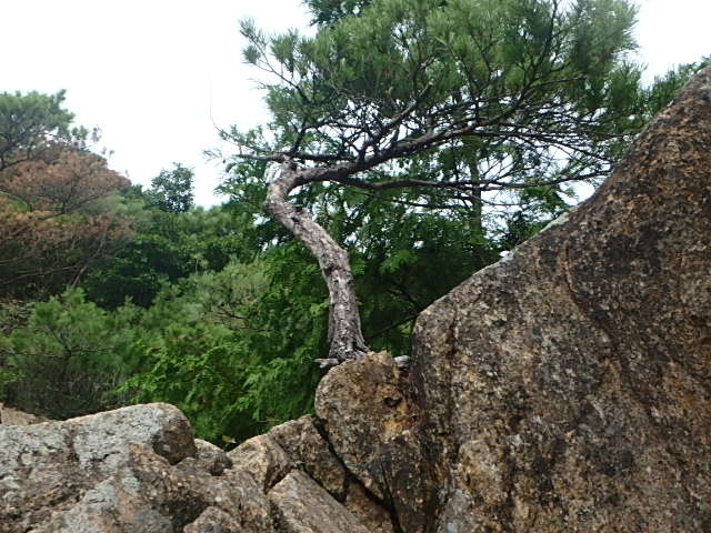 f0334143_8533298.jpg