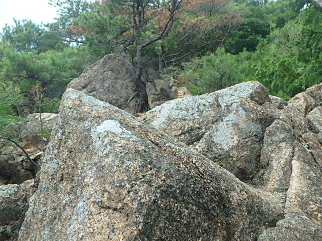 f0334143_853733.jpg