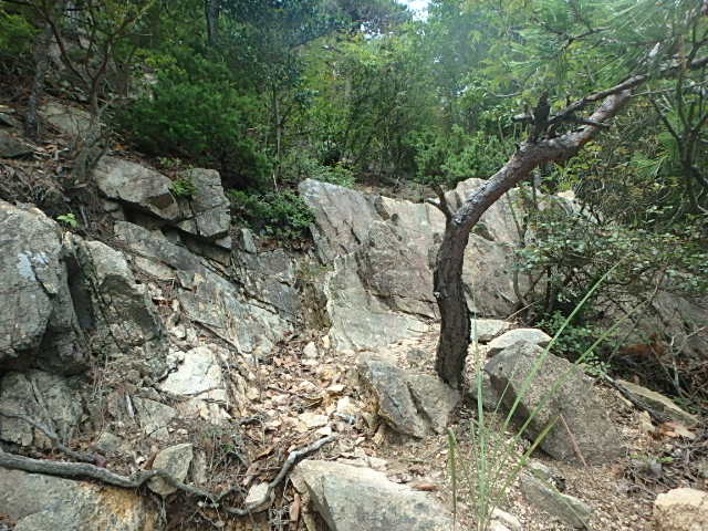 f0334143_854146.jpg