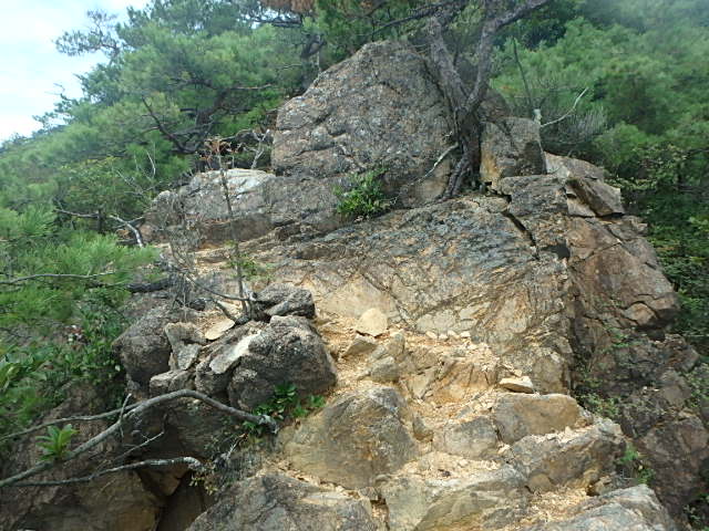 f0334143_8541621.jpg