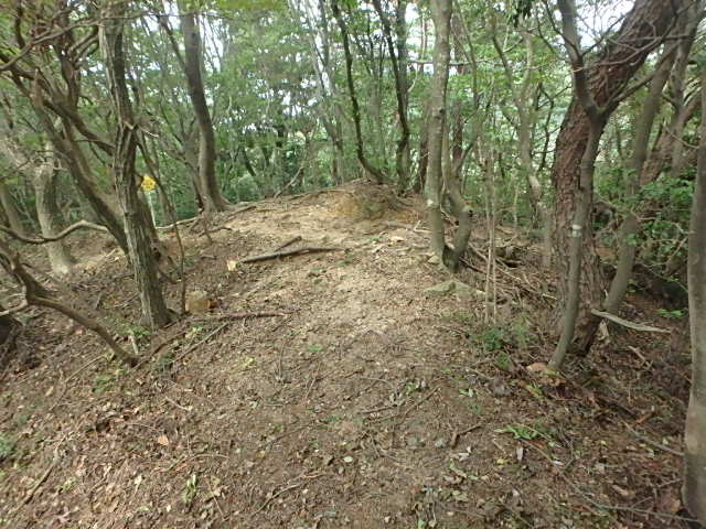 f0334143_923365.jpg