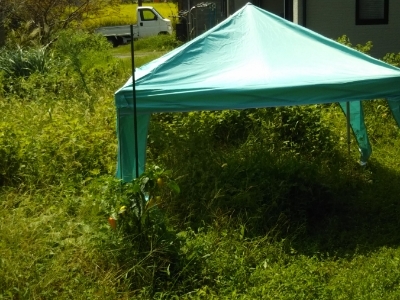 c0330749_18303566.jpg
