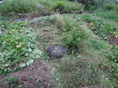c0330749_18413499.jpg