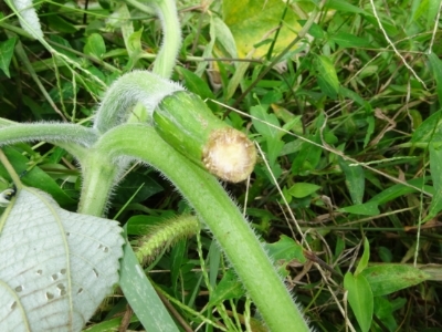 c0330749_18522737.jpg