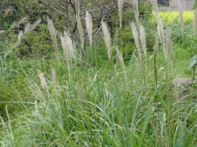 c0330749_19033078.jpg
